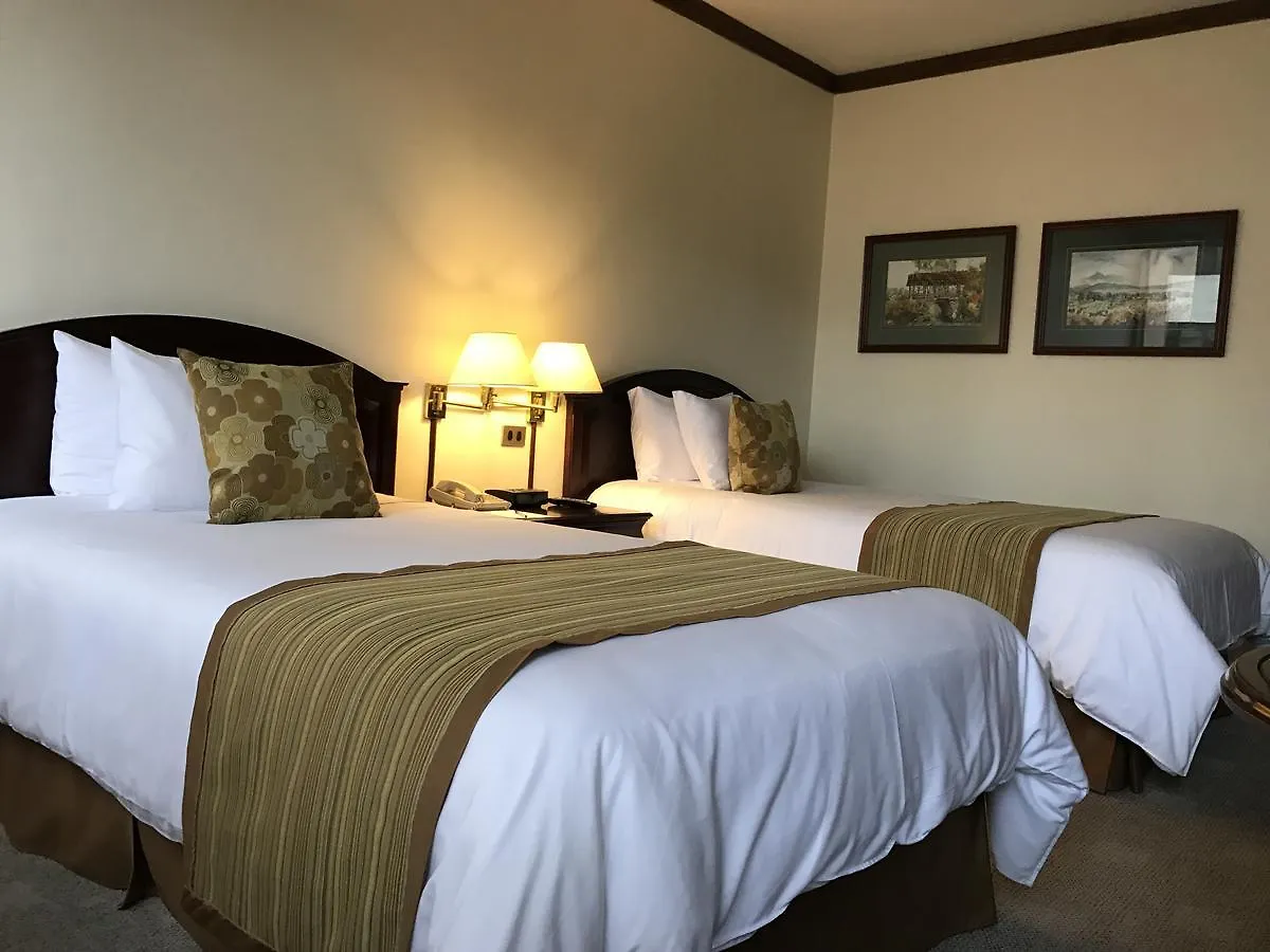 Socialtel Quito Hotel Ecuador